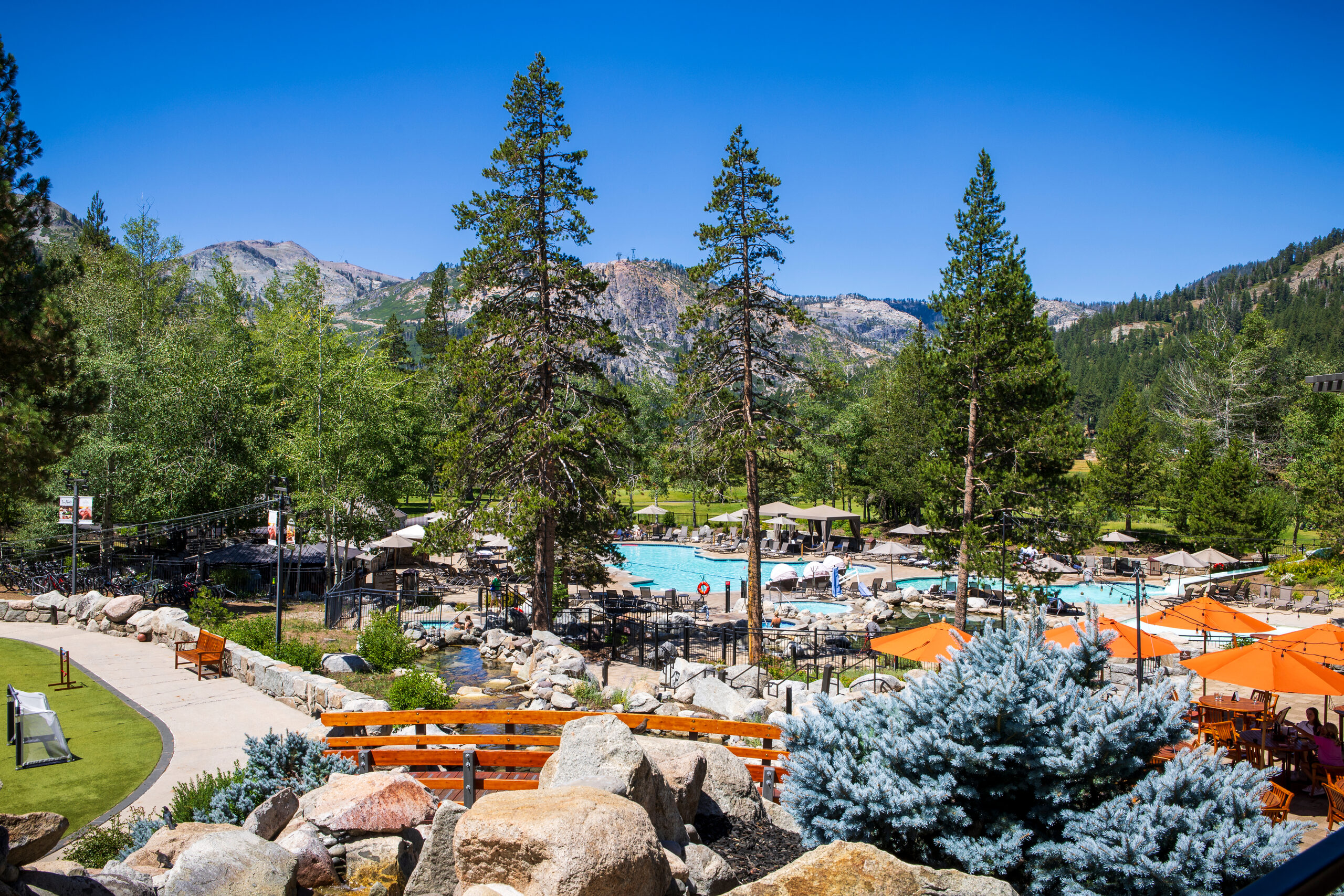 Mountain resort with pool surrounded by pine trees and rocky landscape